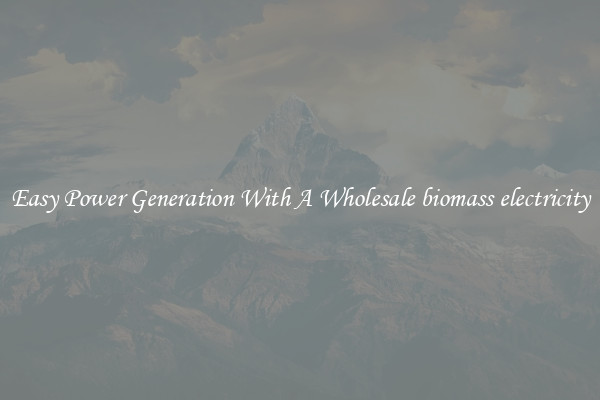 Easy Power Generation With A Wholesale biomass electricity