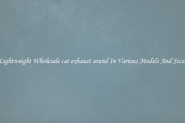 Lightweight Wholesale car exhaust sound In Various Models And Sizes
