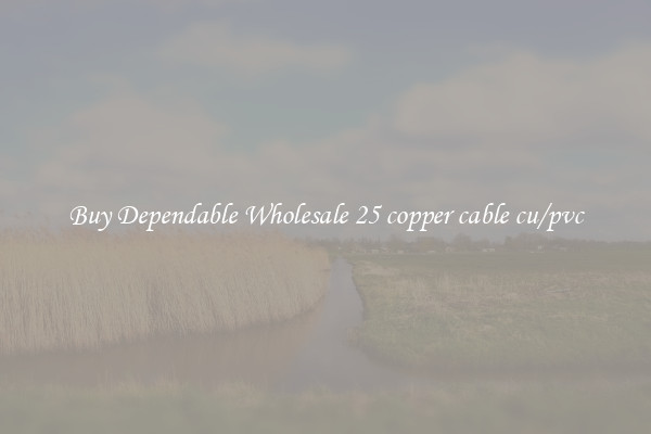 Buy Dependable Wholesale 25 copper cable cu/pvc