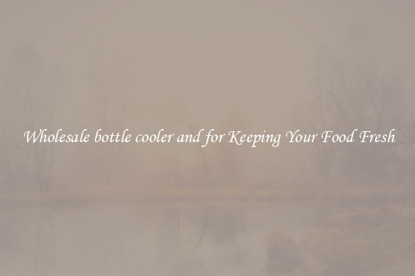 Wholesale bottle cooler and for Keeping Your Food Fresh