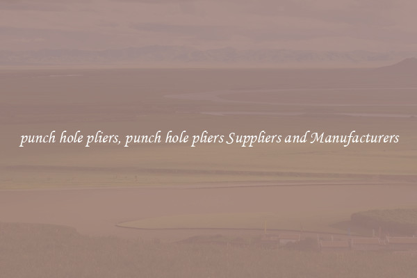 punch hole pliers, punch hole pliers Suppliers and Manufacturers