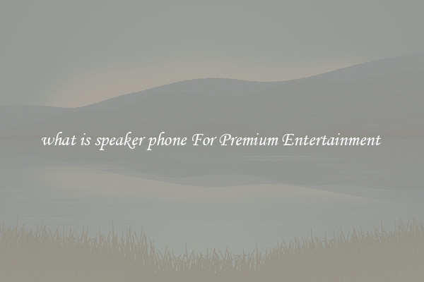 what is speaker phone For Premium Entertainment 