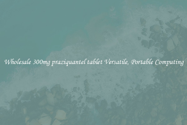Wholesale 300mg praziquantel tablet Versatile, Portable Computing