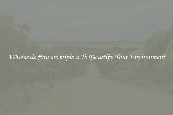 Wholesale flowers triple a To Beautify Your Environment