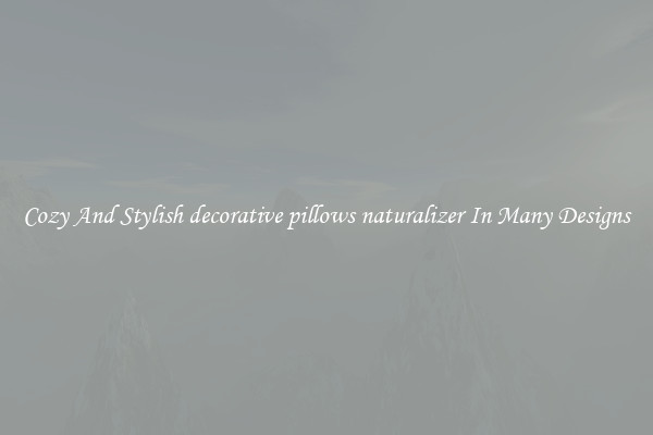 Cozy And Stylish decorative pillows naturalizer In Many Designs