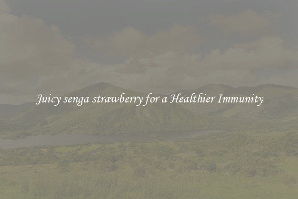 Juicy senga strawberry for a Healthier Immunity