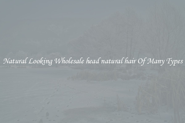 Natural Looking Wholesale head natural hair Of Many Types