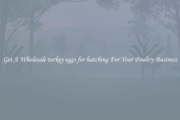 Get A Wholesale turkey eggs for hatching For Your Poultry Business