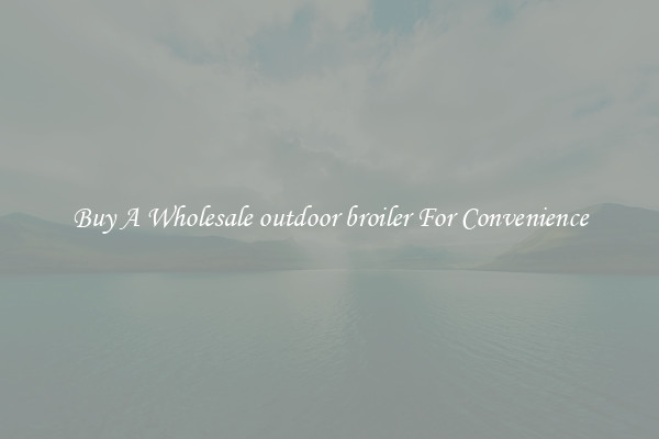 Buy A Wholesale outdoor broiler For Convenience