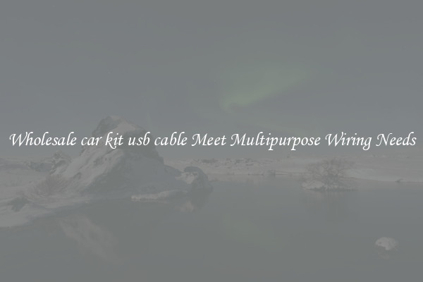 Wholesale car kit usb cable Meet Multipurpose Wiring Needs