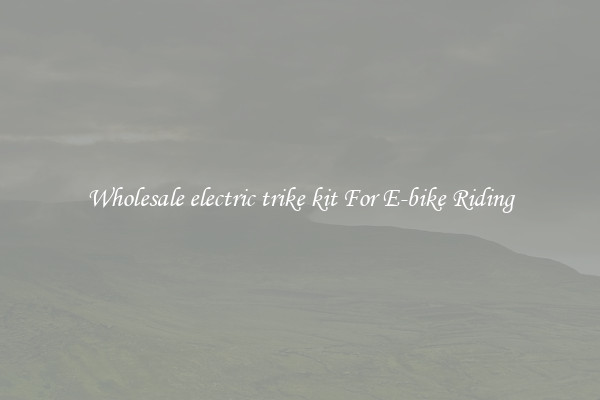 Wholesale electric trike kit For E-bike Riding
