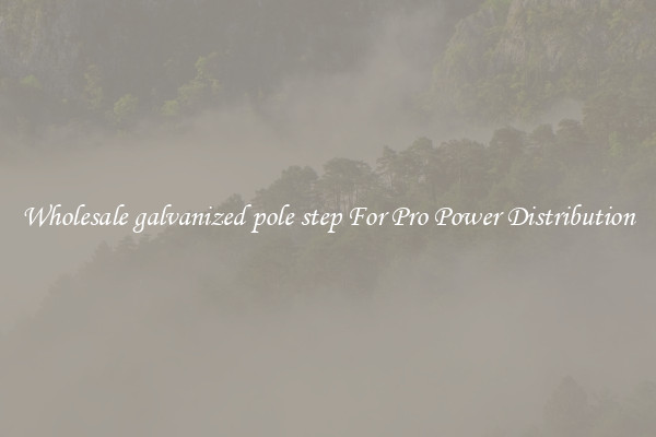 Wholesale galvanized pole step For Pro Power Distribution