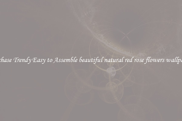 Purchase Trendy Easy to Assemble beautiful natural red rose flowers wallpapers