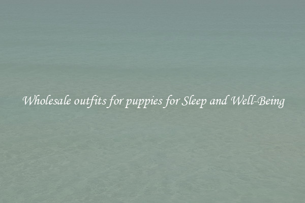 Wholesale outfits for puppies for Sleep and Well-Being