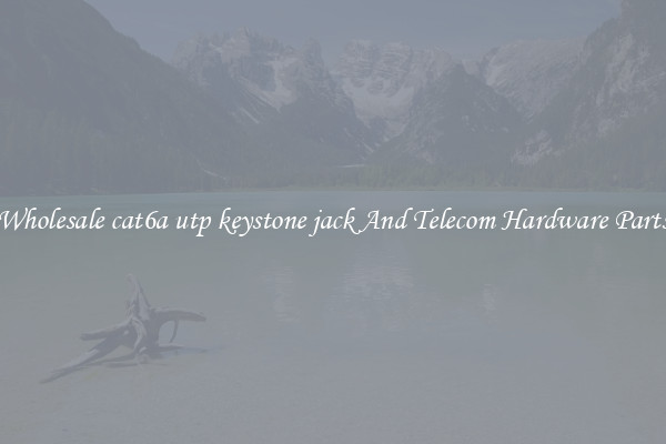Wholesale cat6a utp keystone jack And Telecom Hardware Parts