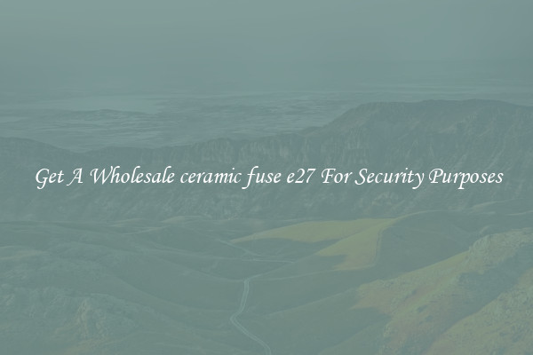 Get A Wholesale ceramic fuse e27 For Security Purposes