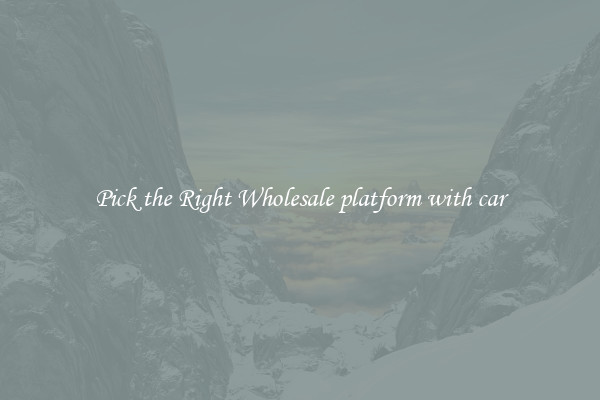 Pick the Right Wholesale platform with car