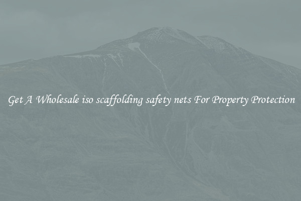 Get A Wholesale iso scaffolding safety nets For Property Protection