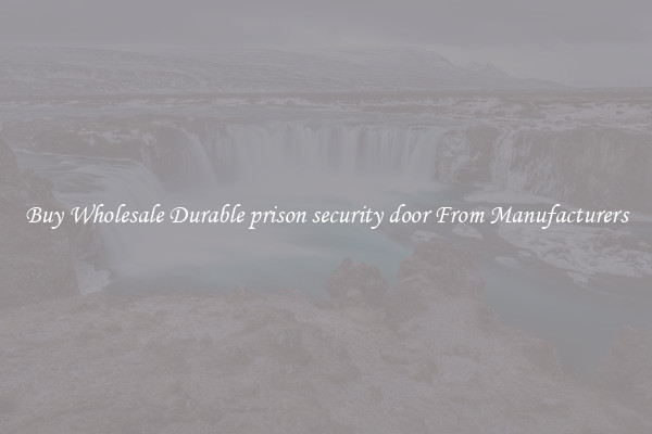 Buy Wholesale Durable prison security door From Manufacturers