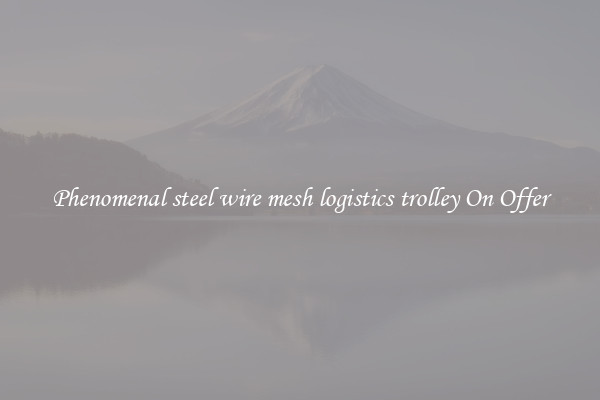 Phenomenal steel wire mesh logistics trolley On Offer