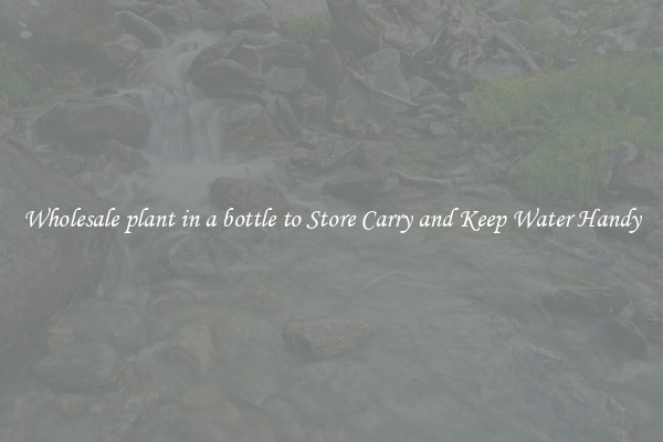 Wholesale plant in a bottle to Store Carry and Keep Water Handy