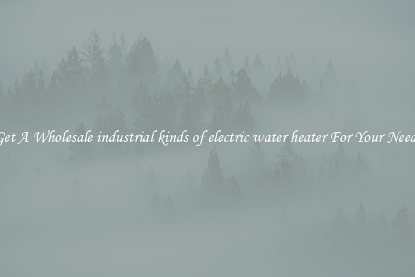 Get A Wholesale industrial kinds of electric water heater For Your Needs